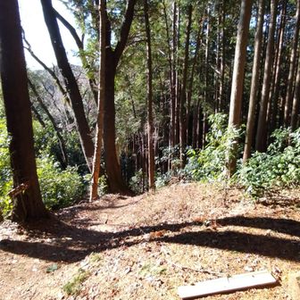 ここらで道誤り😅。今日は落とし物多く何度も出戻りしてる、、、ひたすら反省🙏