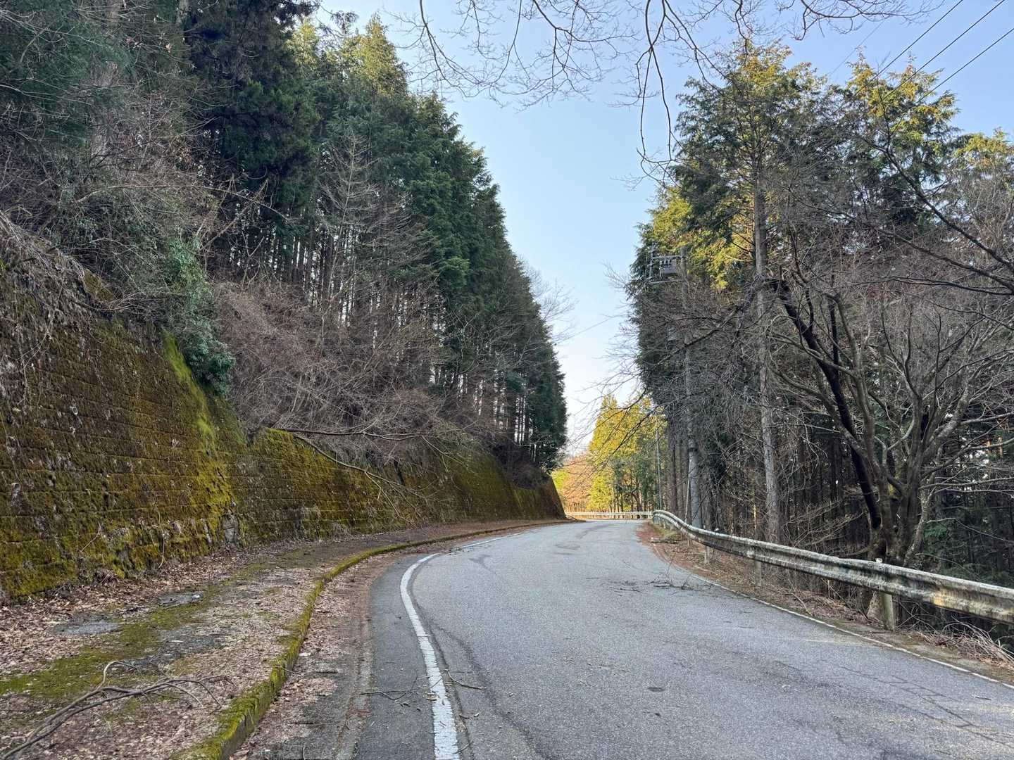 伊勢神峠-大多賀峠登山口-寧比曽岳-富士見峠 往復コースの写真