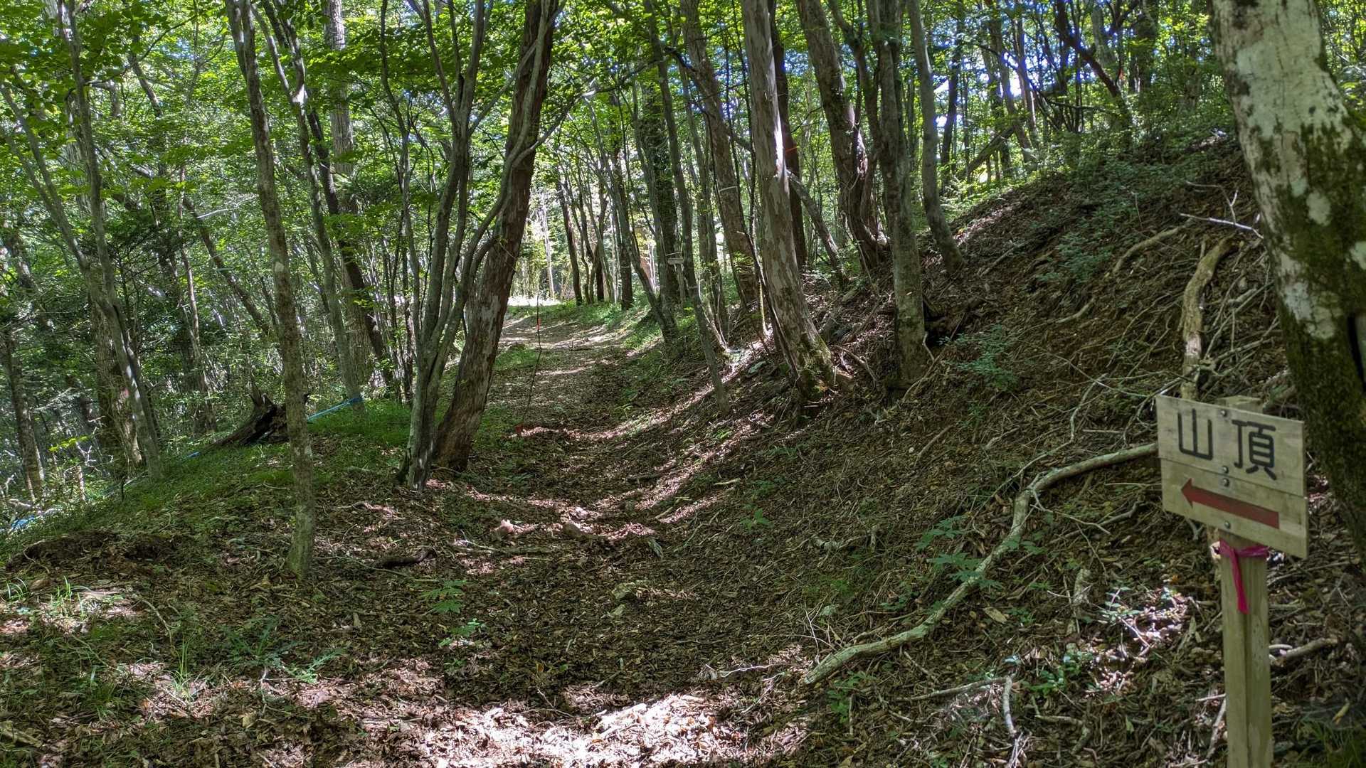 ここは道の雰囲気があんまり変わらなくって、ちょっと飽きてきたなあとか思ってたら