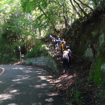 ここから堂徳山山頂に。
市章山でお見かけしたグループに追いつきました。

【追記】ここでグループの方にお気遣いいただき、「お先にどうぞ」と言っていただいたのですが、その方はフォローさせていただいている方でした。どうもありがとうございました😊