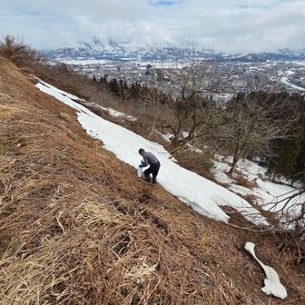 滑る斜面をものともせず
さっさと降りて採り出す