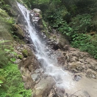 水量があって、いい感じ