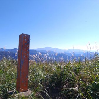 風も心地よい