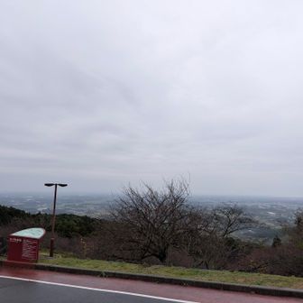 雨