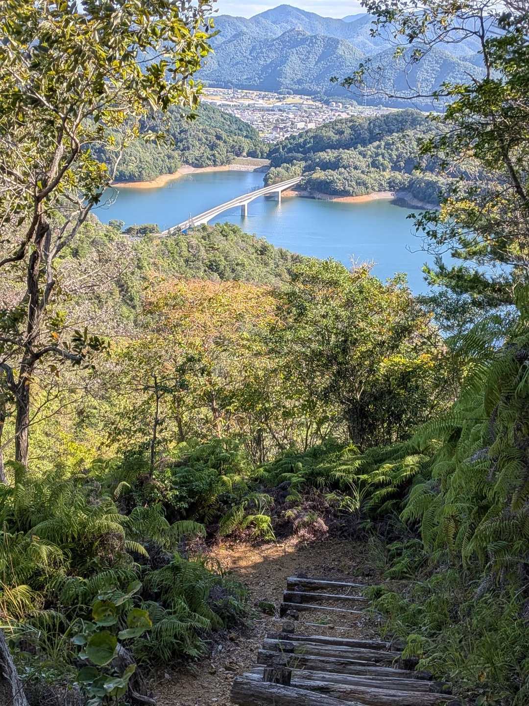 糀屋ダムの橋🏞️