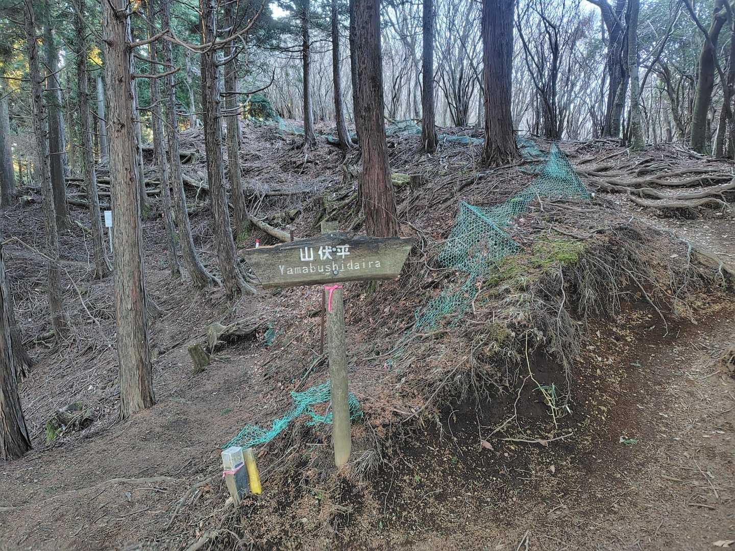 山伏平
頂上はもう少しです