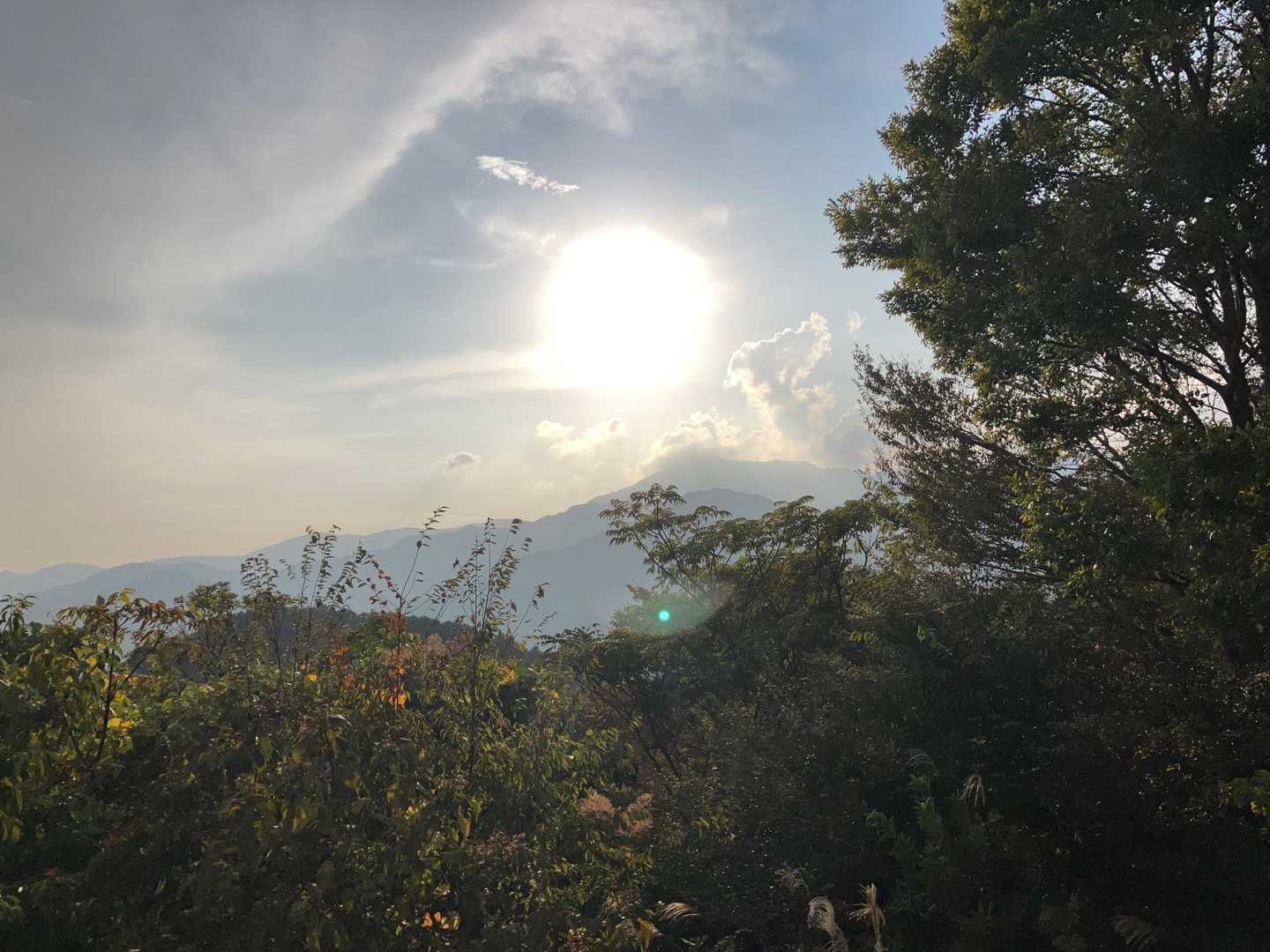 大山の方に、もうすぐ隠れそう☀️