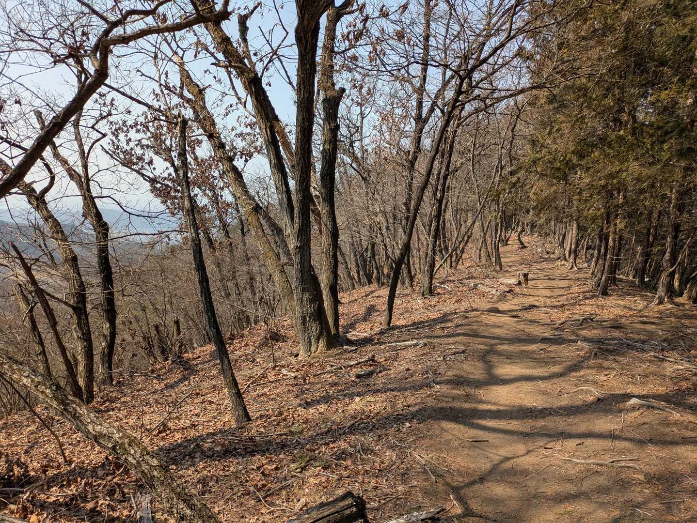 石尊神社奥宮-石尊山-深高山 往復コースの写真