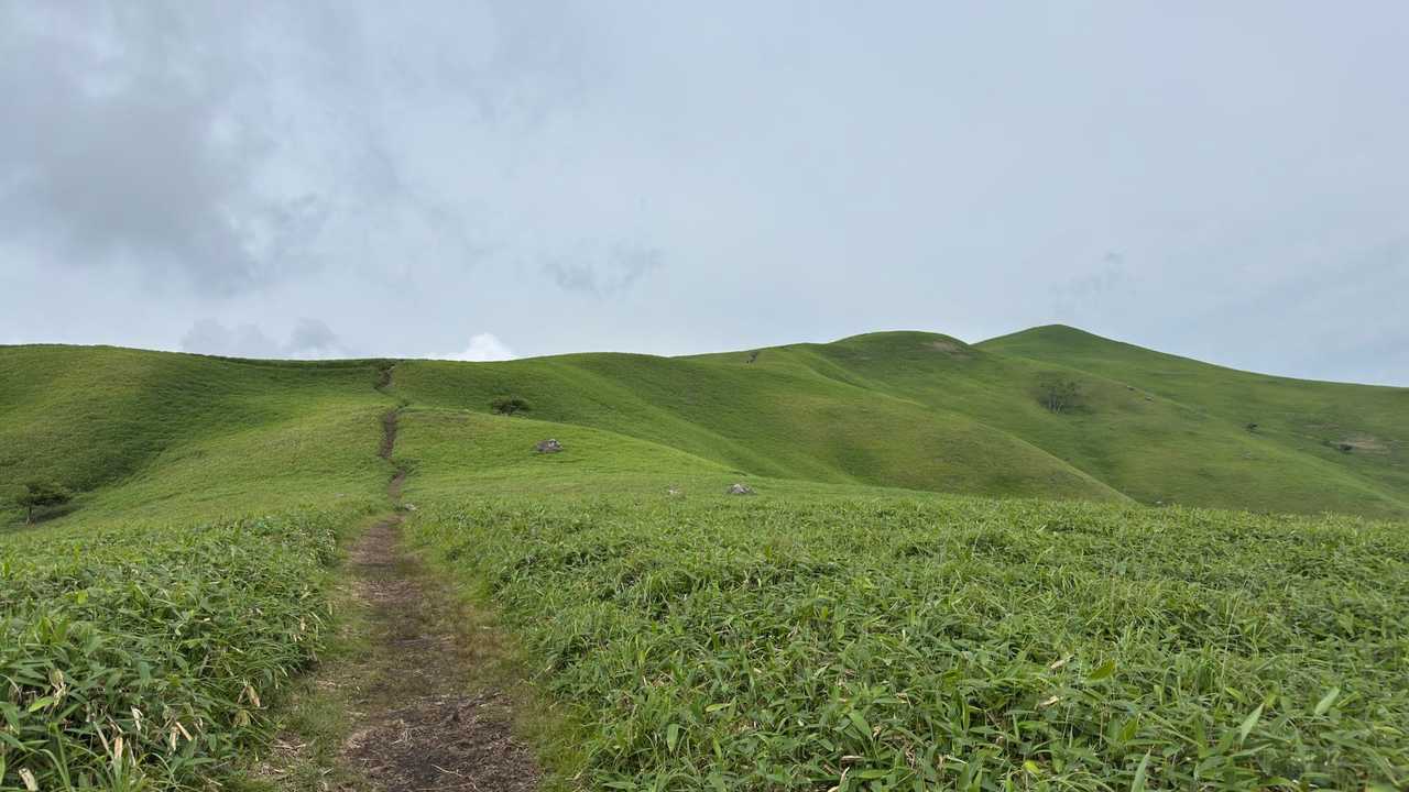 中央分水嶺トレイル（長門牧場〜白樺湖〜八島湿原〜三峰山〜美ヶ原）、2daysスルーハイク の写真 36
