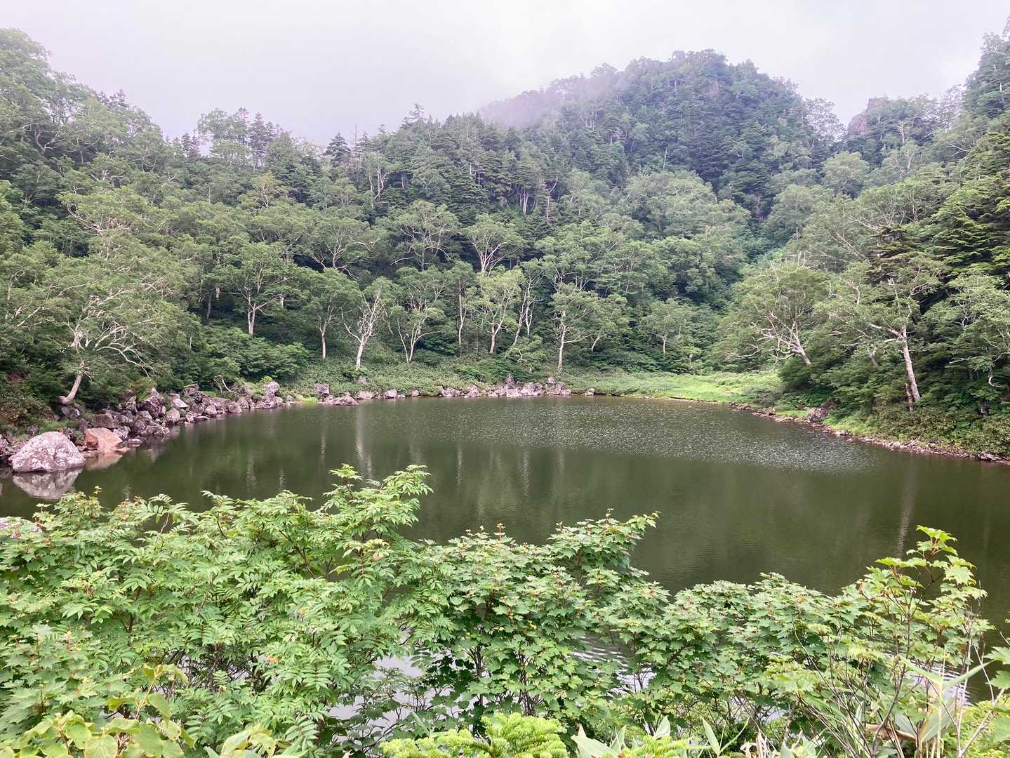 小敷池