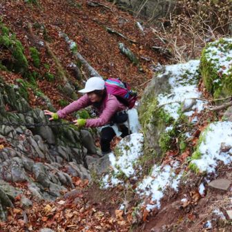雪が積もっていました。