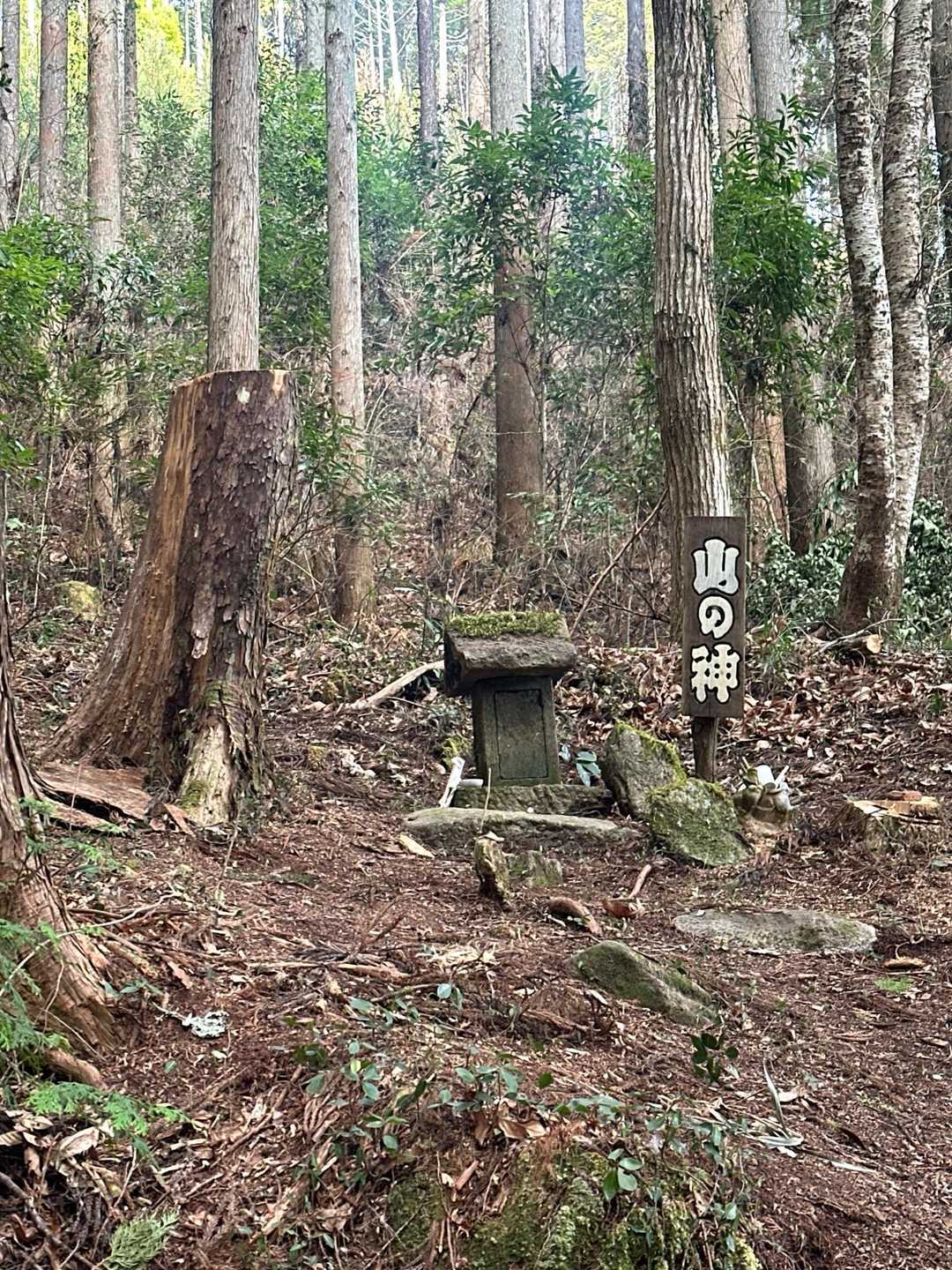 山の神に挨拶して🙏