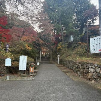 唐沢山の山頂は唐沢山神社となっているようです。さらにここは城跡らしい。