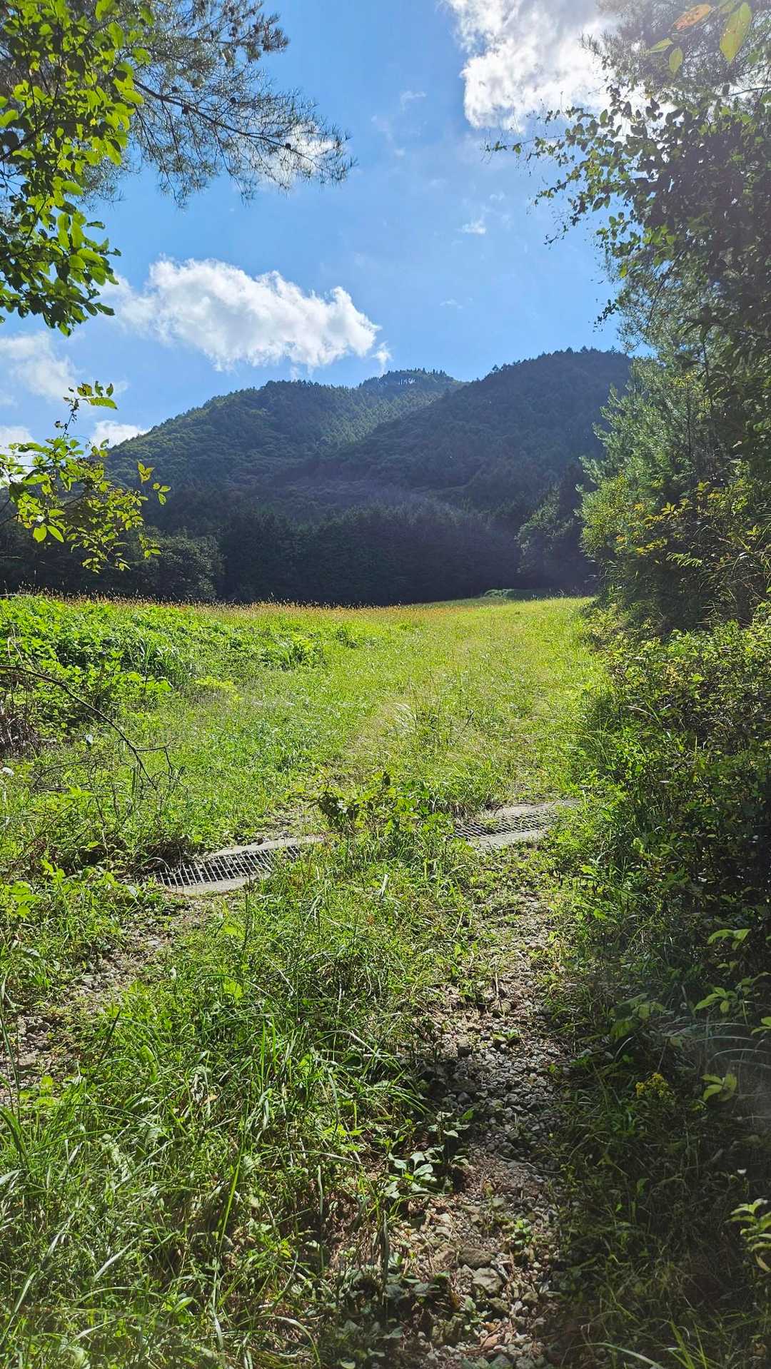 あの真ん中が、雌山だな❗