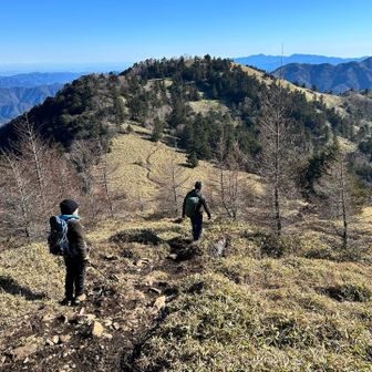 帰りは霜が緩んでグチャグチャなのでゆっくりしか歩けません。