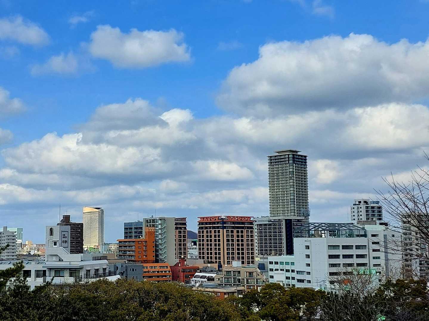 山頂からの眺望　🏢が立ち並ぶ西新界隈✨