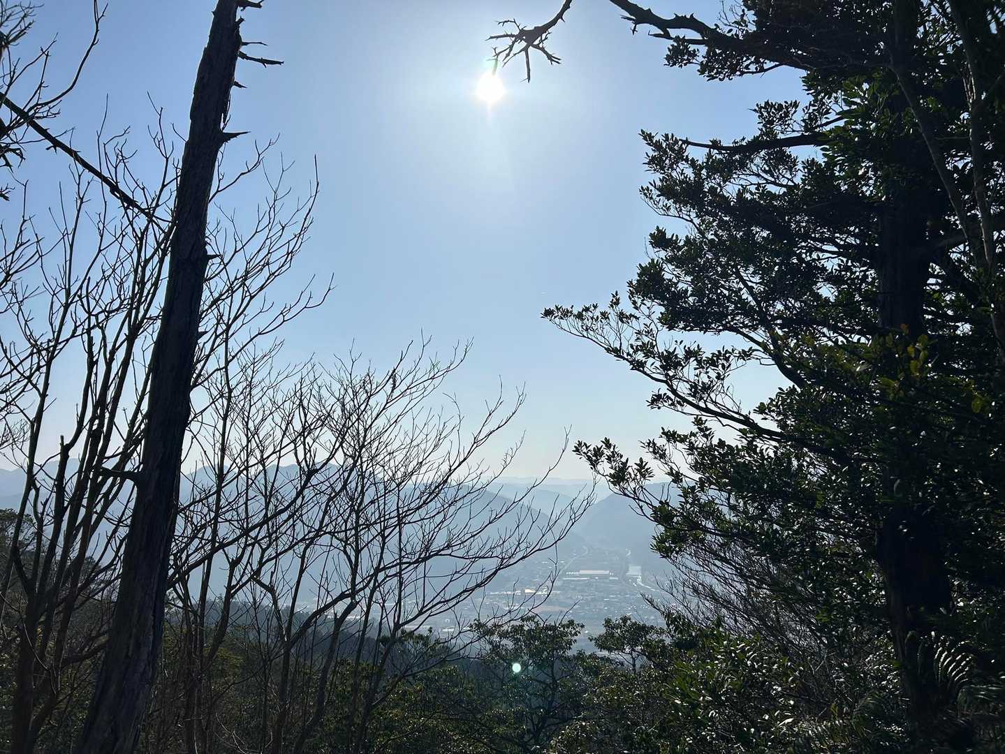 鷲ヶ嶽 往復コースの写真