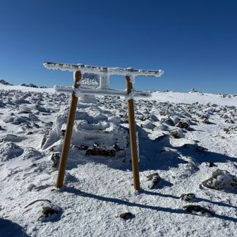 家族の健康をお祈り。