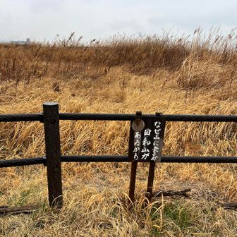 名言？迷言？😆