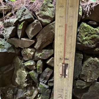 手水舎24℃
