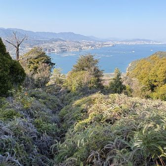 まだまだ藪がある。