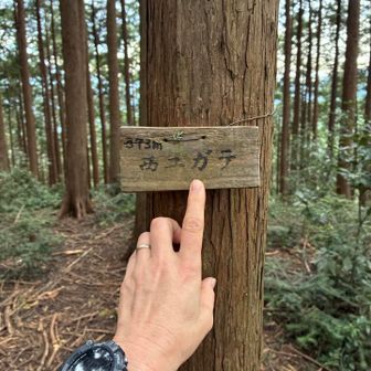 初めて山頂を踏んでみた西ユガテ