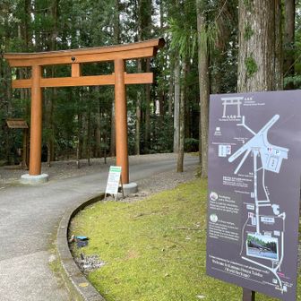 熊野本宮大社の裏手に出てきました✨👏