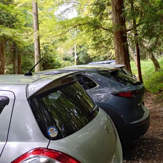 駐車場に戻りました🚗