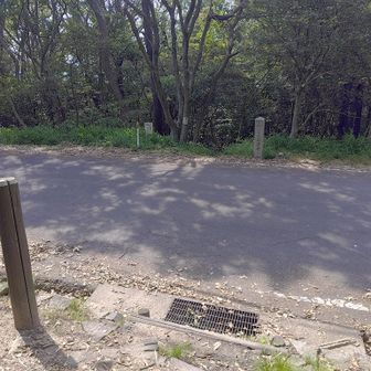 下りきる直前にすれ違った2名さんが唯一の登山者。
暑いから？時間が遅いから？