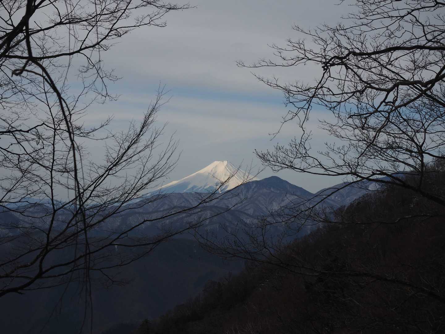 おぉ！やっぱり見えてる！／^o^＼！