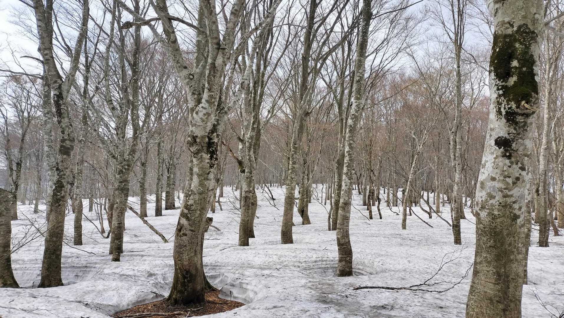 黙々と歩く
こんな黄砂の舞う日に誰もいない