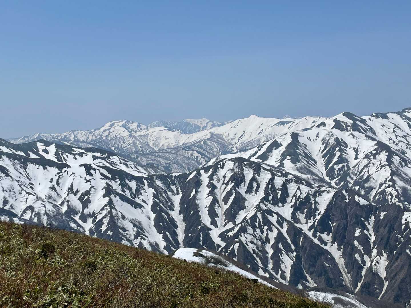 柄沢山に朝日岳など国境稜線沿いの山々。真ん中奥に谷川岳