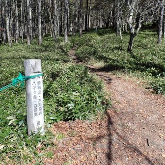 登山口まで戻ってきた〜！