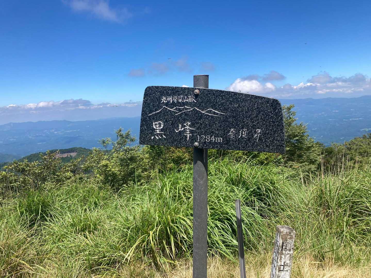 ショートコース折り返し地点。ブルーベリー🫐いただきました。