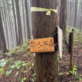グレピの荏ノ久保山⛰️