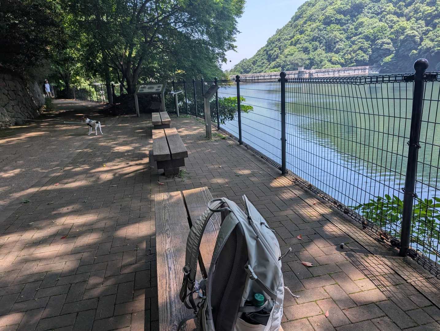 やれやれ
ここまで来ました
今日は歩いたな〜