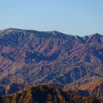 山頂部が平らなので苗場かと思ったのですが、山座同定アプリで確認すると平ヶ岳でした。確かにそっちの方がだいぶ近いし、そもそも山の形が違いました。