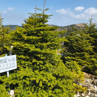 明星ヶ岳山頂に到着