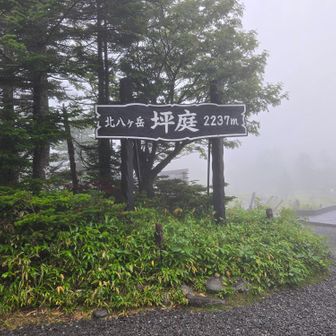 幻想的