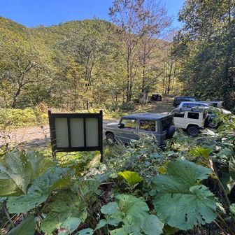 無事下山しましたー。
…つーか、女性ハイカーさん速すぎる💦
5分遅れくらいで私も下山をしたのですが、途中見晴らしの良い所でも姿形は見えず、何なら鈴の音すら聞こえなかった💦
後で入山届の下山時間を見ると、私が到着する約30分前には下山されていました😳
この速さ、くのいちとか忍者の仕事をしている方かと…😂

本物の健脚現るその2 、の巻でした📜