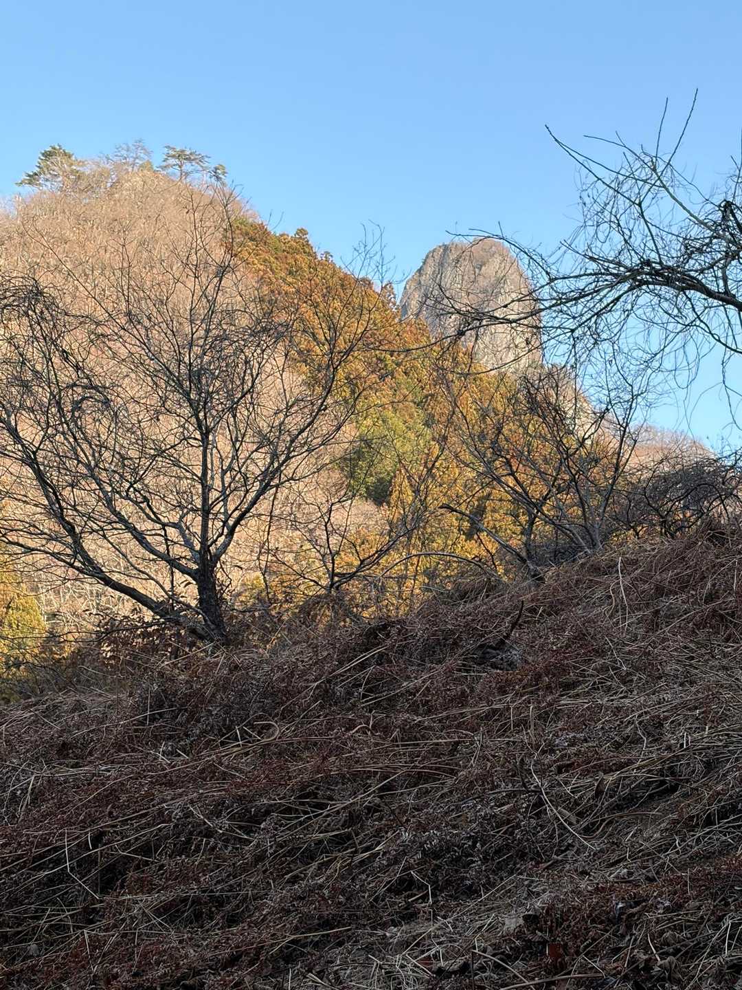 鹿岳見えた