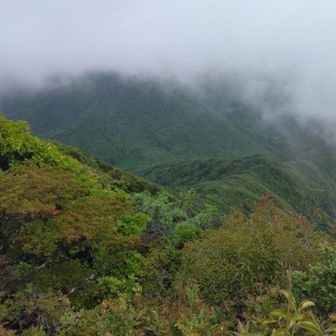 一瞬、奇跡的に見れた景色✨