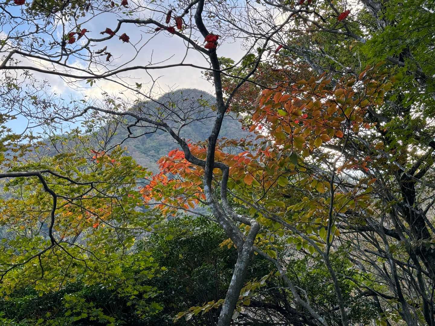 秋の気配を感じます🍂
