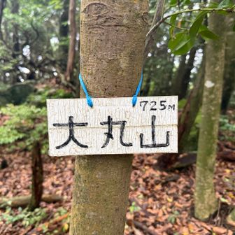 次はコース上に大丸山。YAMAPの地図では大江岳となっている。