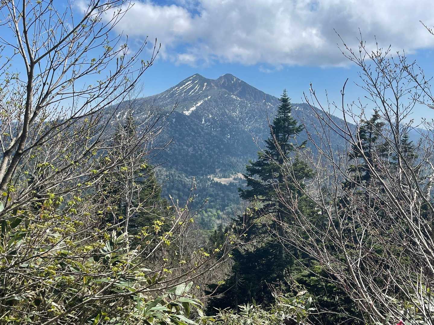 大杉岳 往復コースの写真
