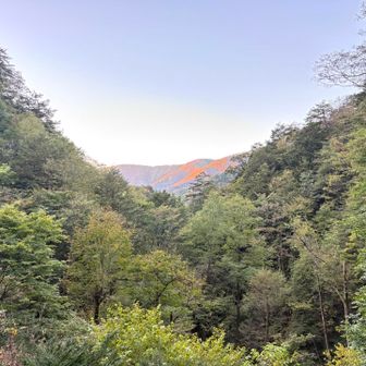 南側の山が焼けています