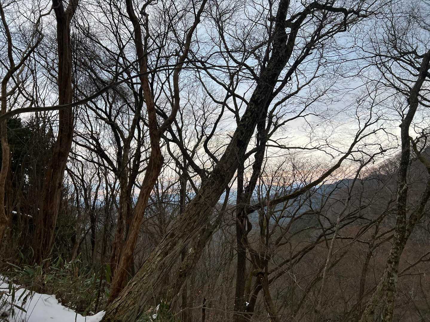 千早本道登山口-金剛山 往復コースの写真