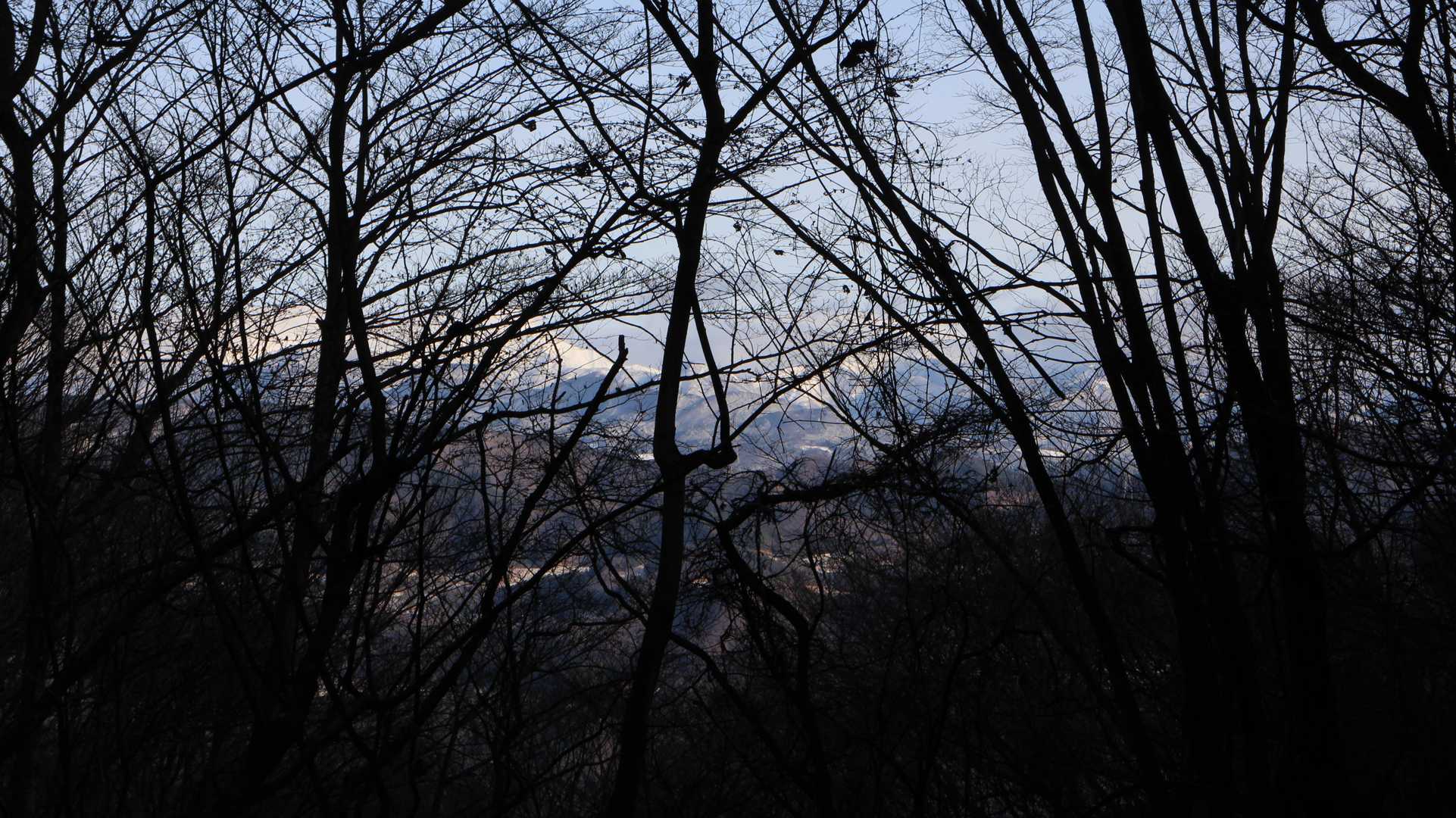 振り返って…雪山🏔️