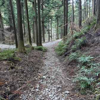 ココがホントの終わりでした。💦