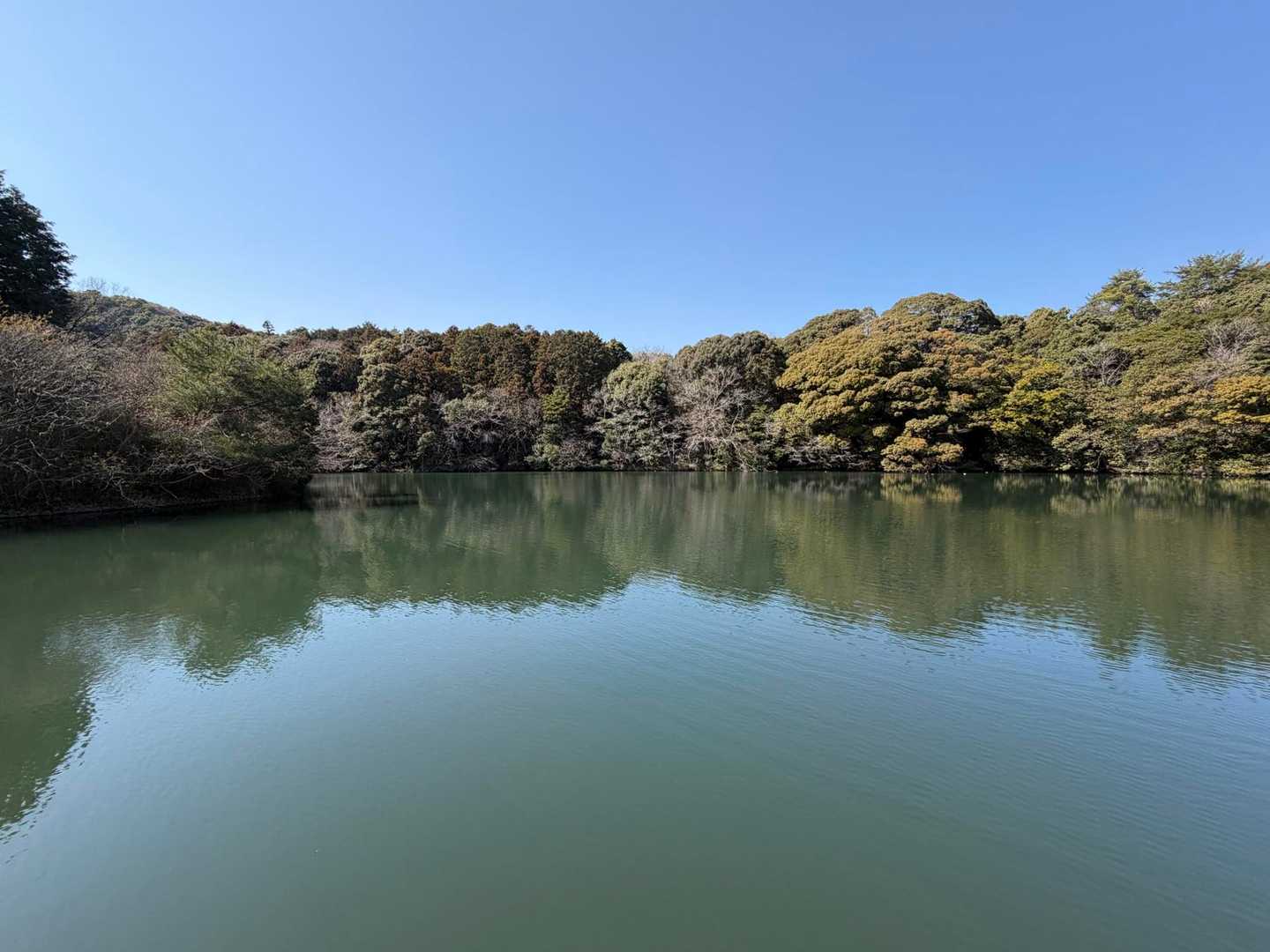 御所ヶ岳 往復コースの写真